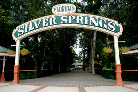 Silver Springs | Ocala National Forest | Florida Springs Passport
