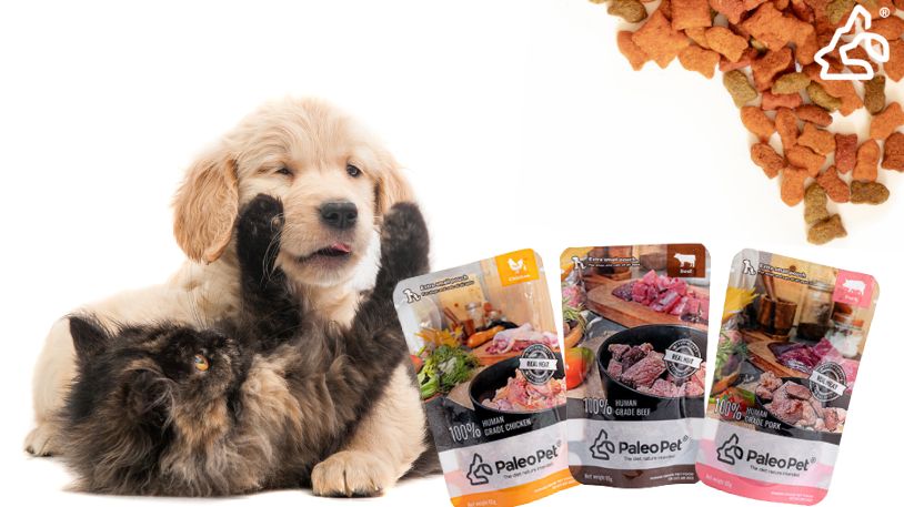Understanding Pet Food Labels | Paleo Pet