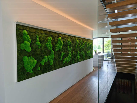 Grünes Moosbild an heller Wand