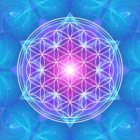 Sacred Etheric Flower Of Life Connection Maintenance Attunement