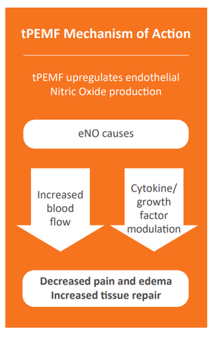 ENO pathway