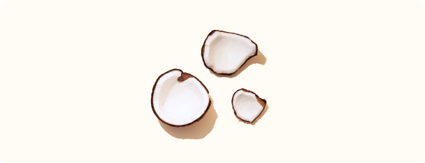 Coconut.png__PID:b038db40-6cba-49bd-afa6-894e3953e5f1