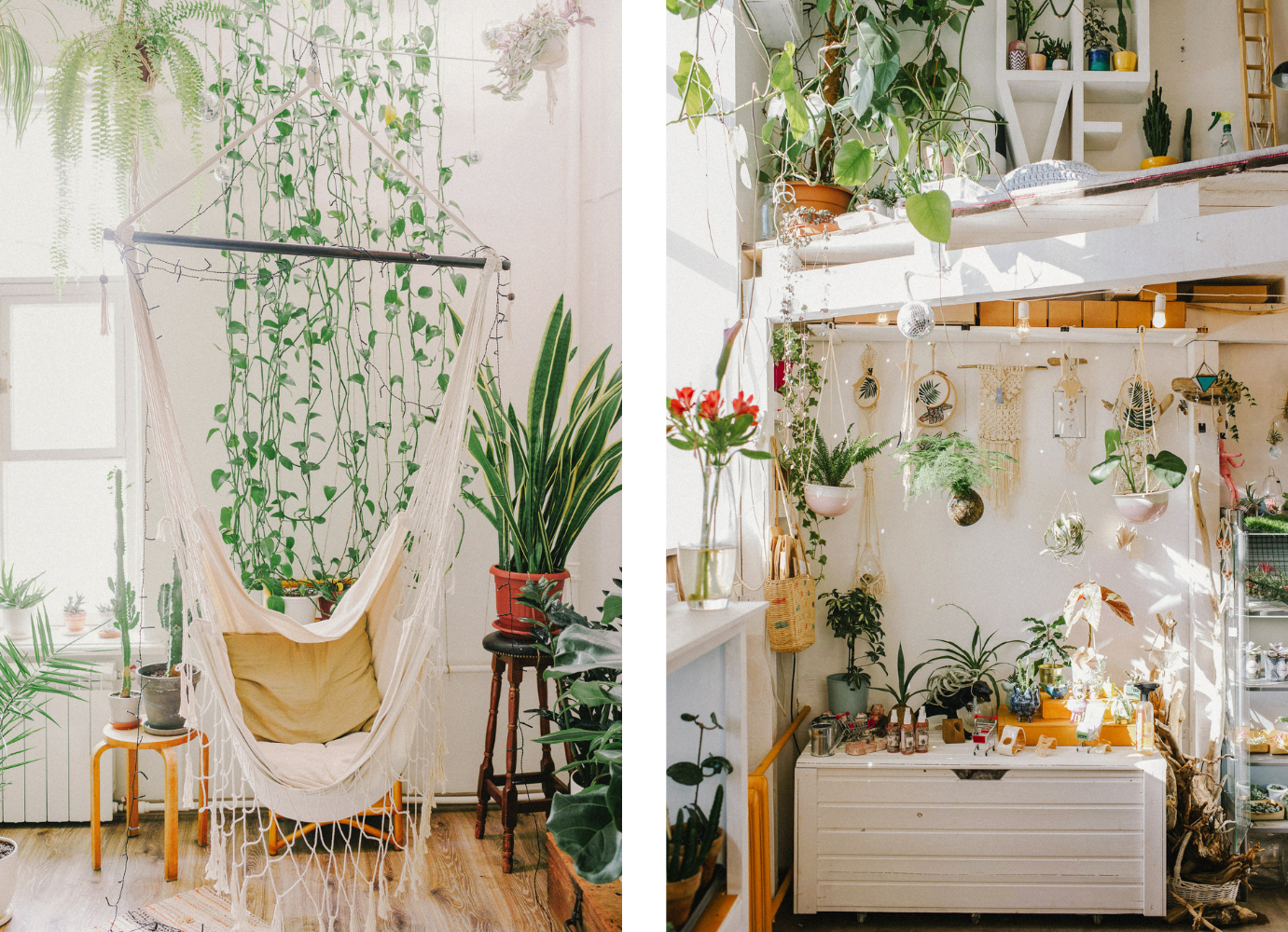 plants-for-small-spaces