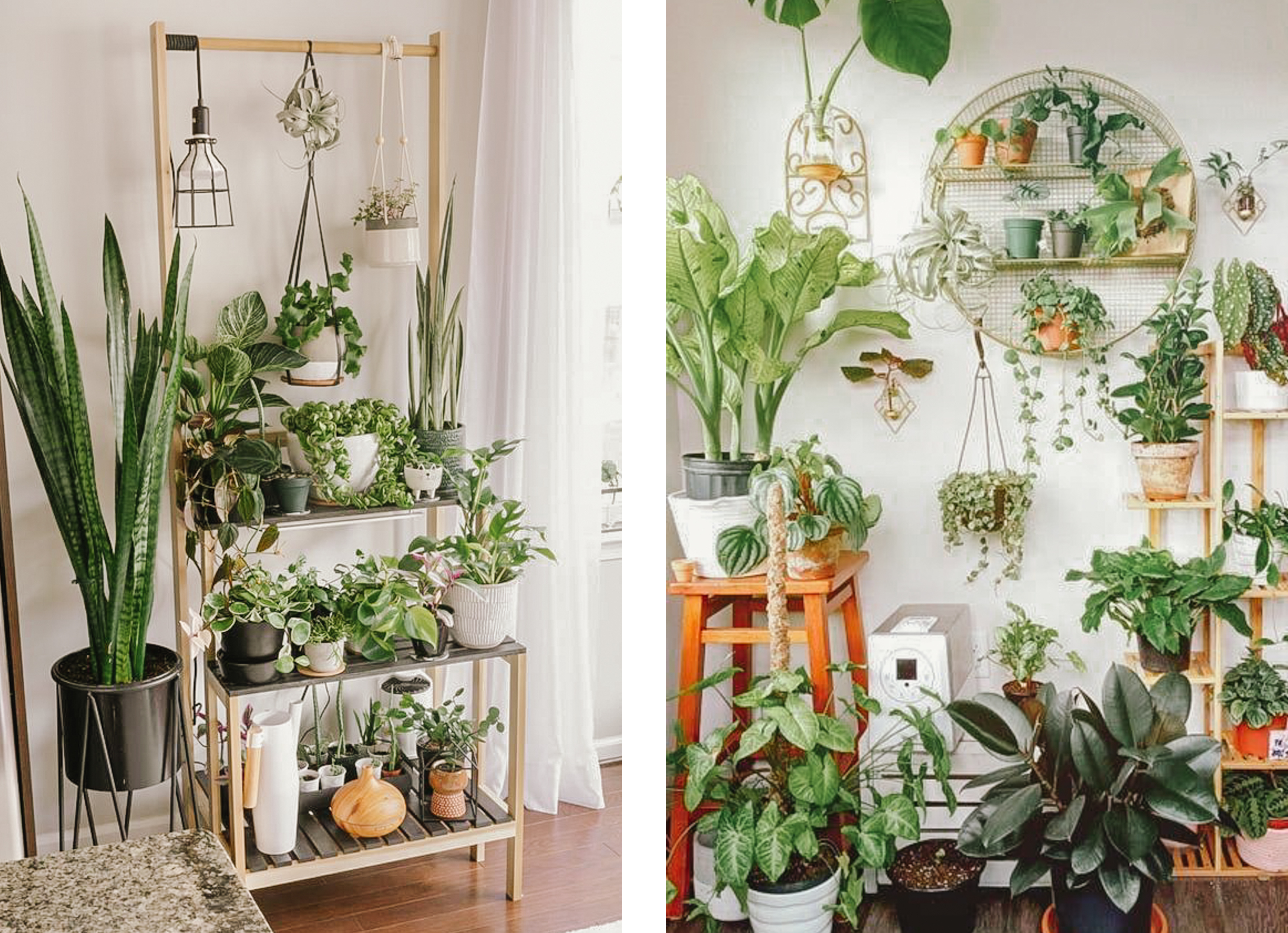 plant-stand-for-small-space