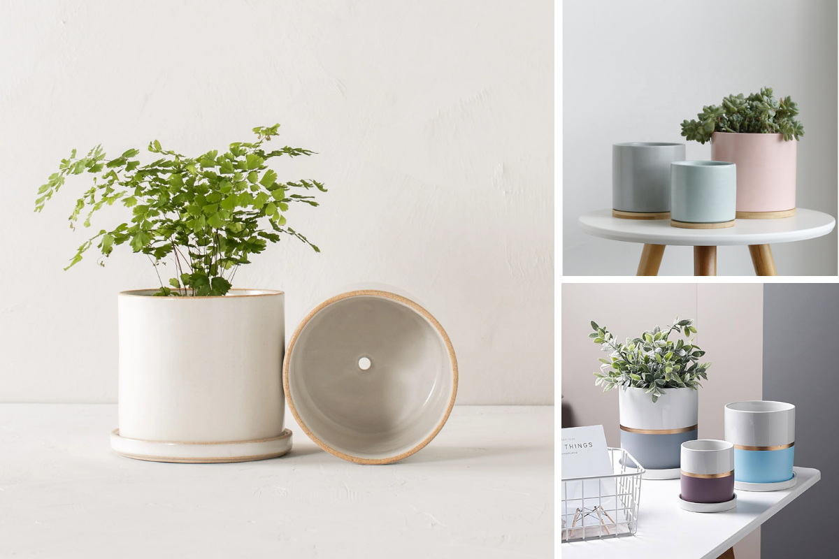 Best Indoor Plant Pots With Drainage