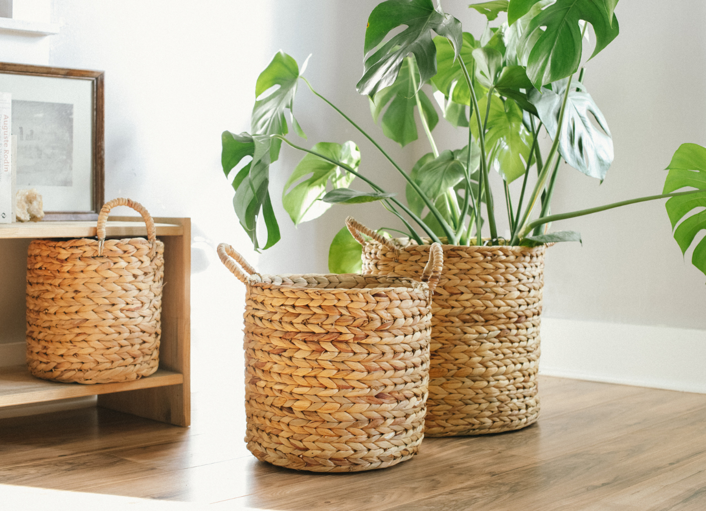 can-you-use-a-wicker-basket-as-a-planter-01