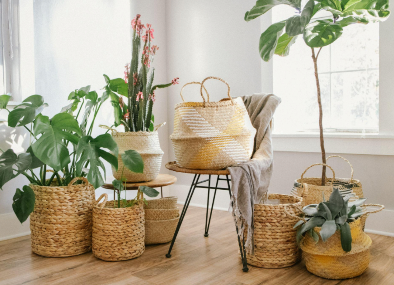 can-you-use-a-wicker-basket-as-a-planter-03
