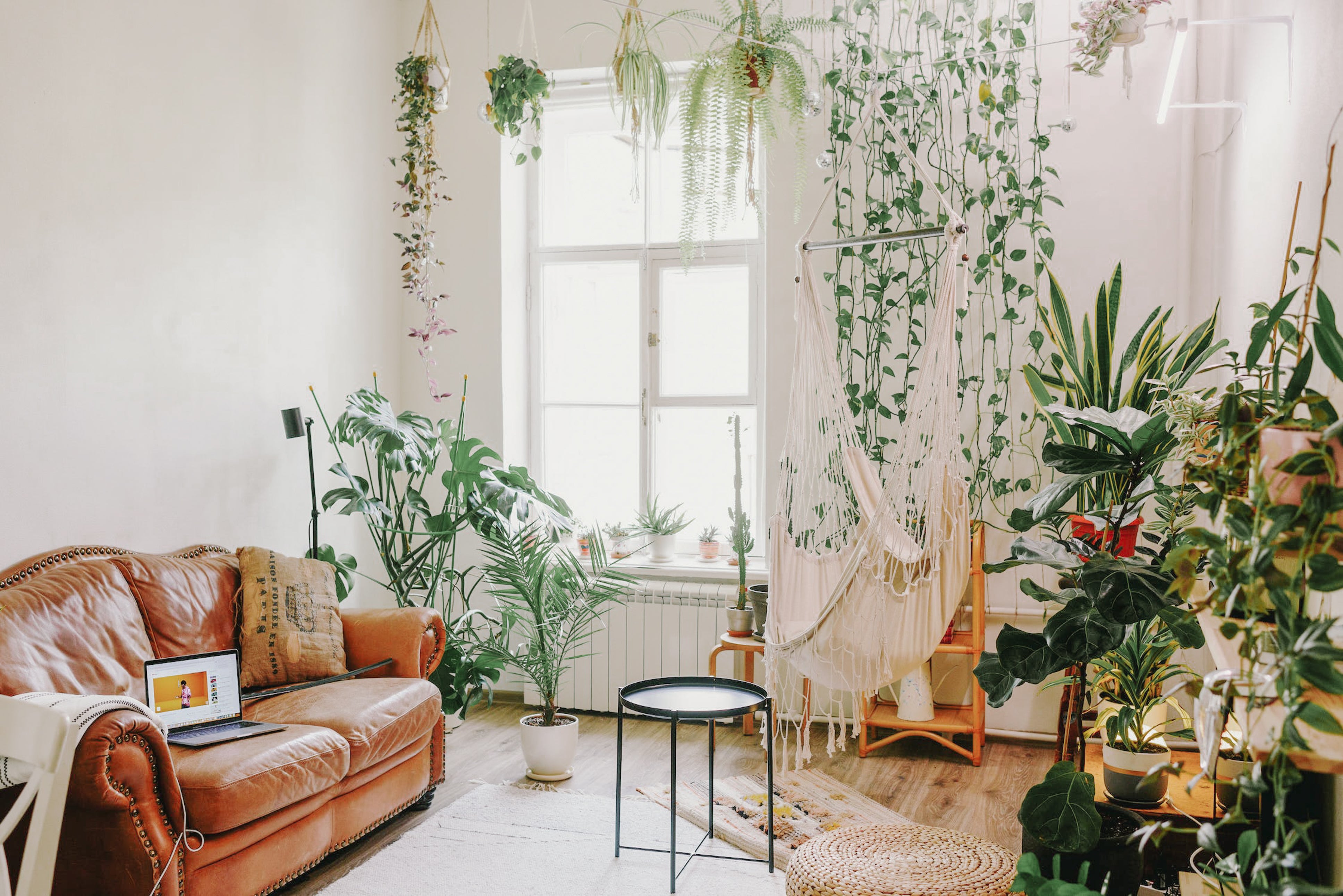 hanging-plants-in-macramé