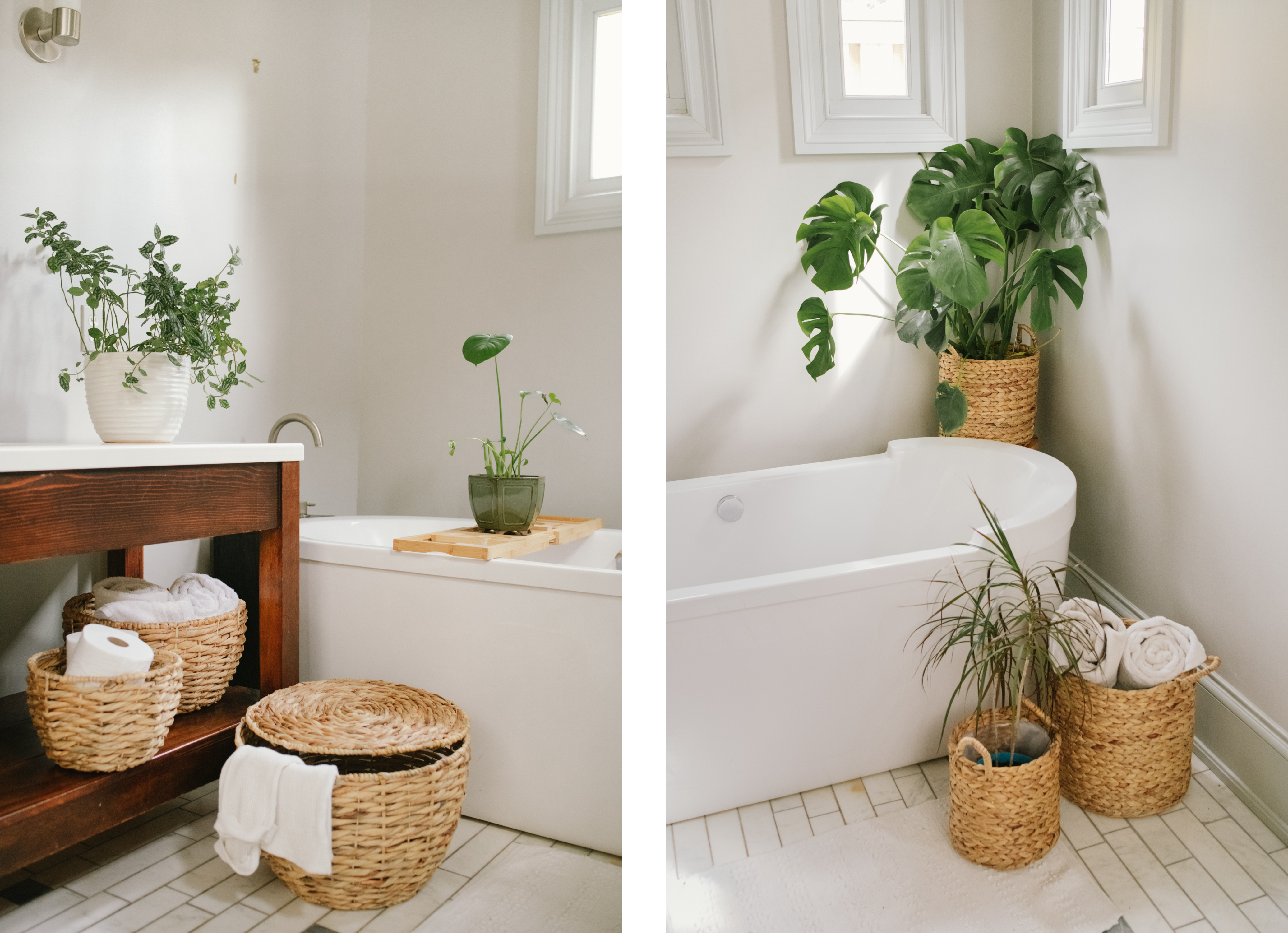 choose-the-right-indoor-plants