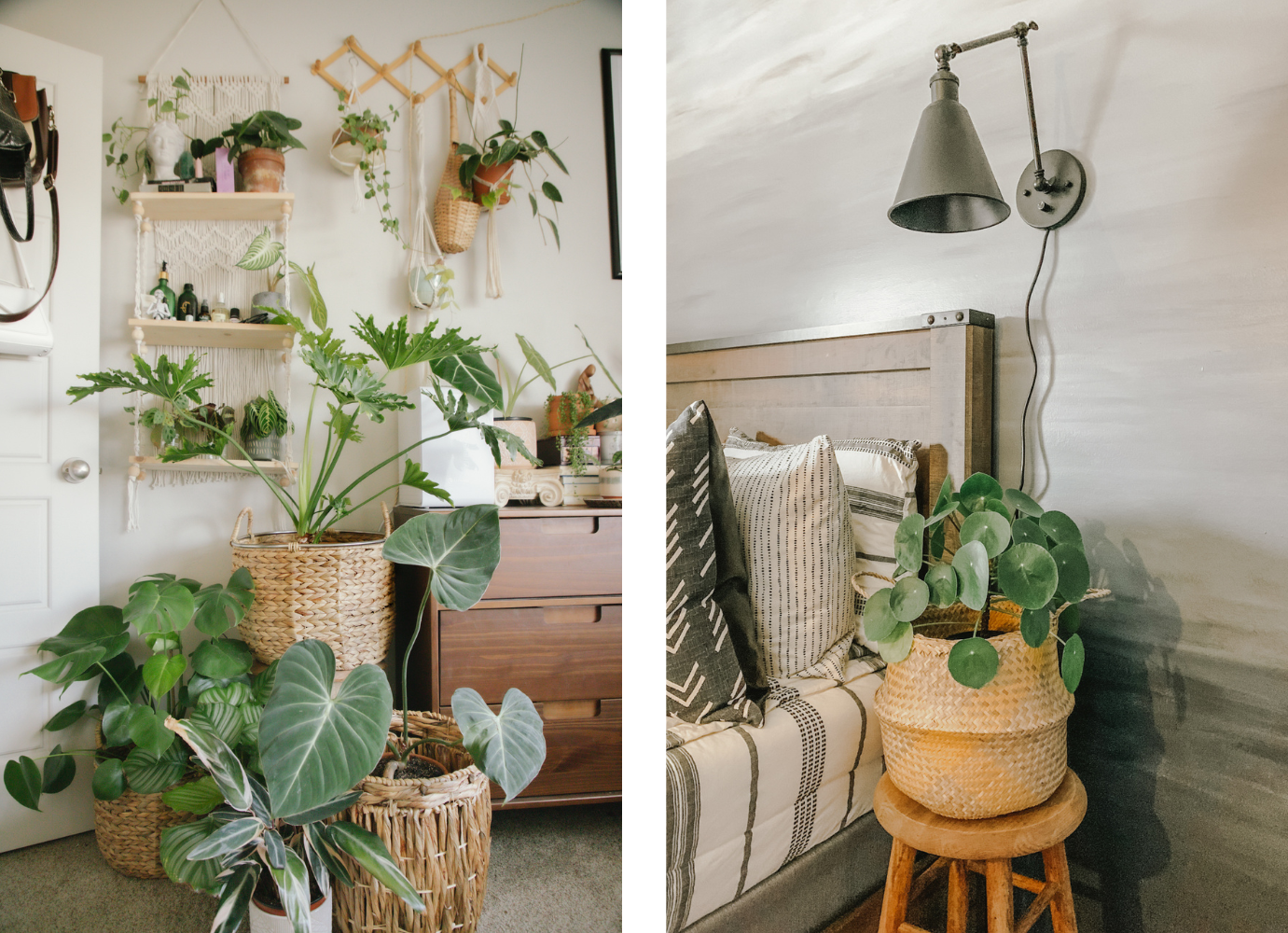 Overall-aesthetic-appeal-of-plant-baskets