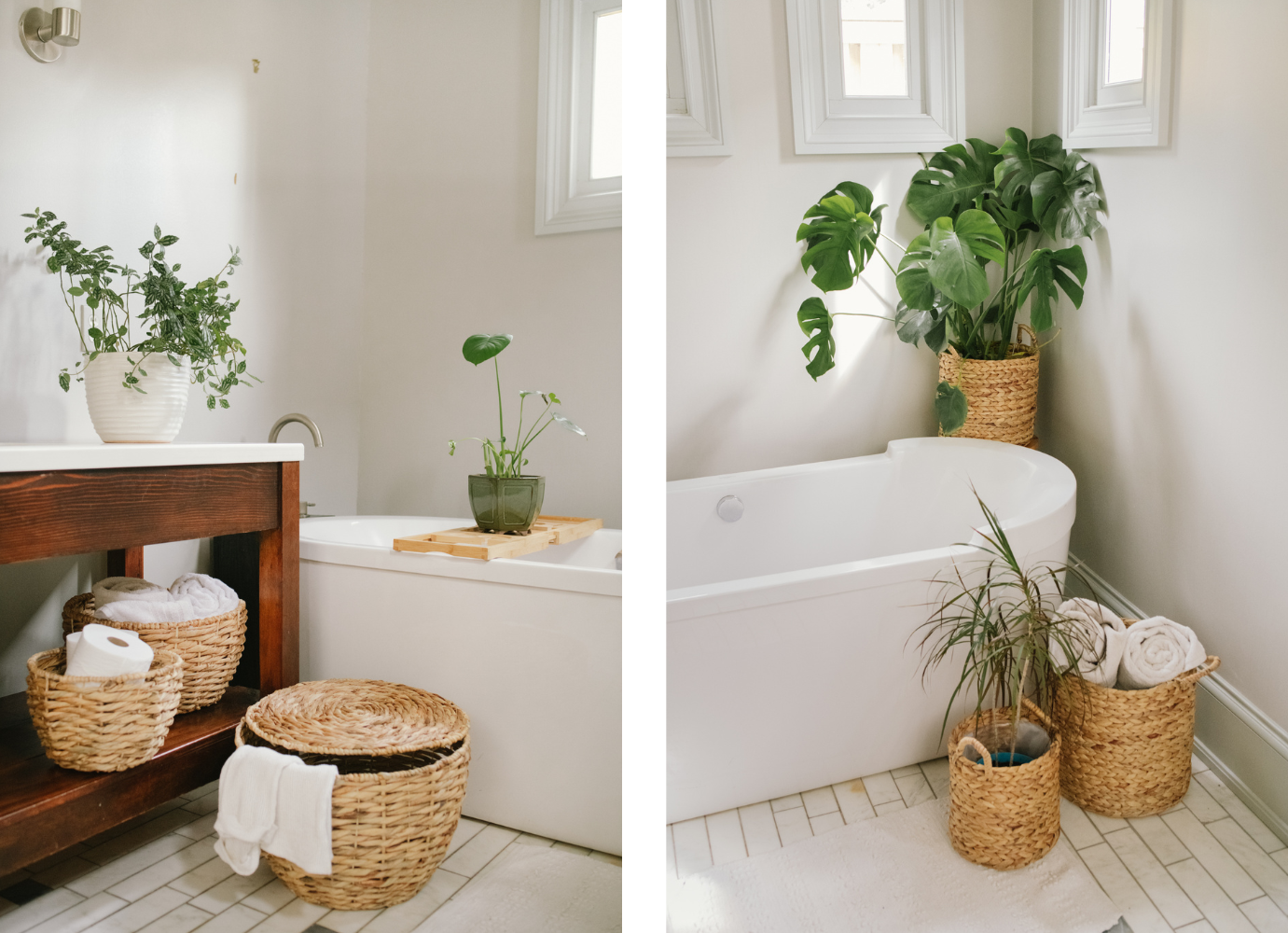 humidity-and-temperature-levels-indoor-plant-for-beginners