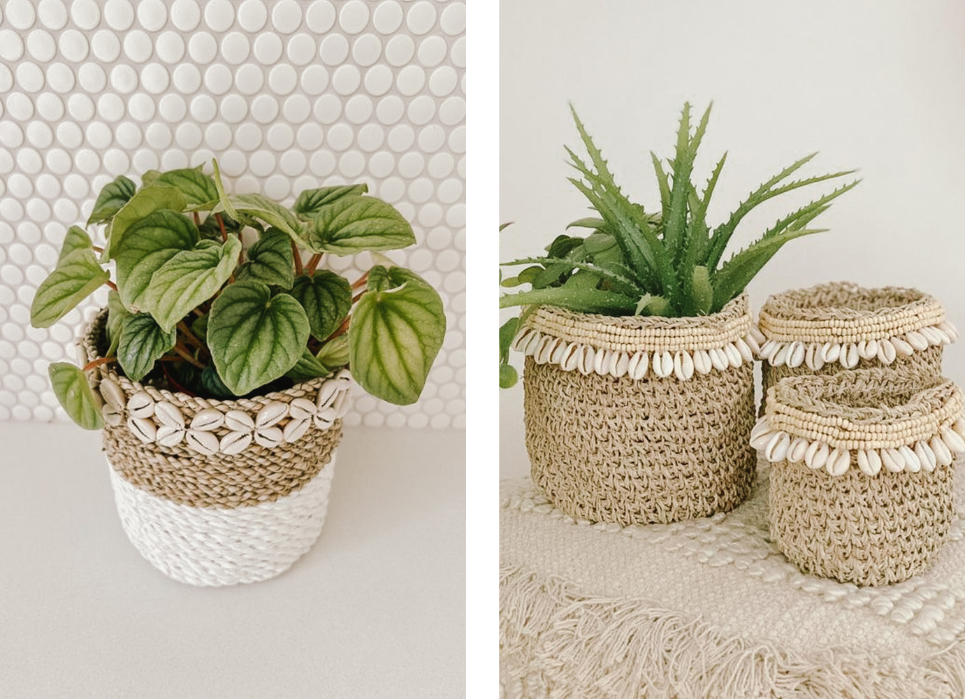 decorative-plant-basket-for-a-coastal-retreat