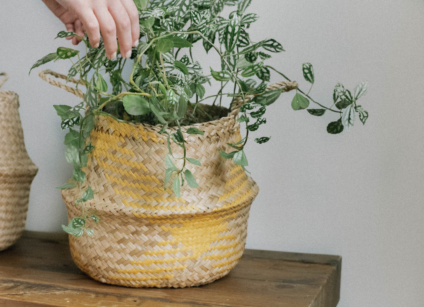 seagrass-basket-for-plant