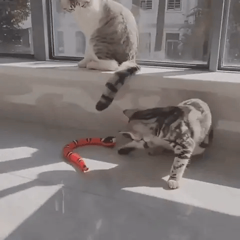 Smart Sensing Snake – Whiskers & Claws