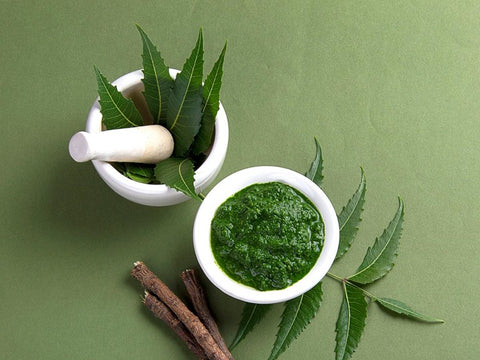 Neem, neem plant, neem plant extracts