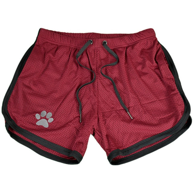 Shop Online | Bad Pup Shorts | Free Worldwide Shipping! – deBrief Shorts