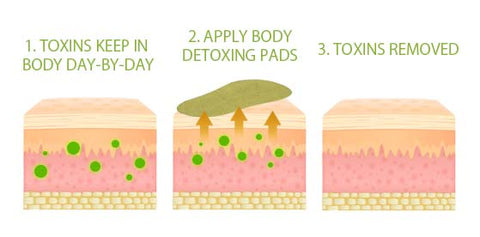 Wormwood Body Detox Pads