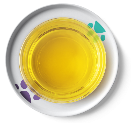 Whiskit_Plate_patterns_7_1