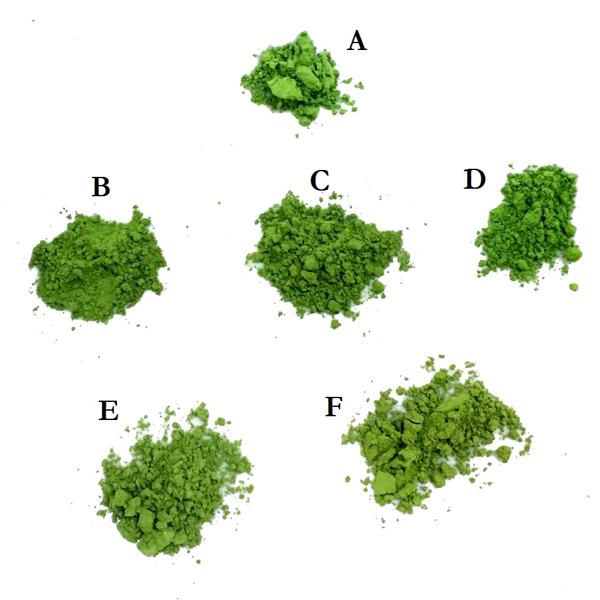 matcha uji nishio testing and comparison