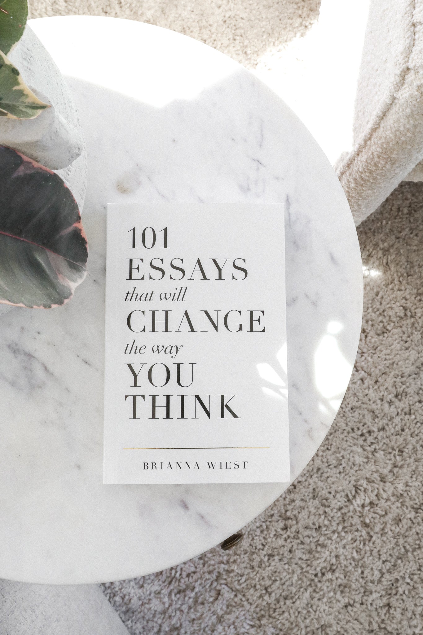 101 ESSAYS BOOK - HARD COVER