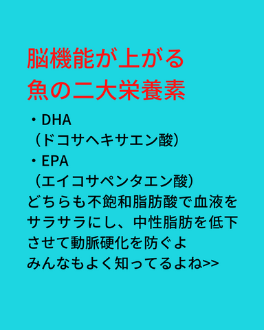 魚の栄養知ってますか？