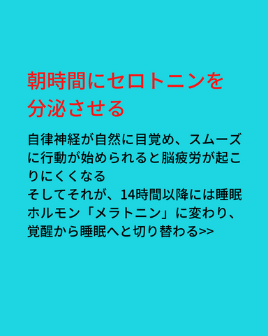 朝時間にセロトニンを分泌させる