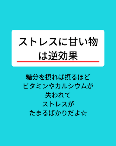 本日の格言