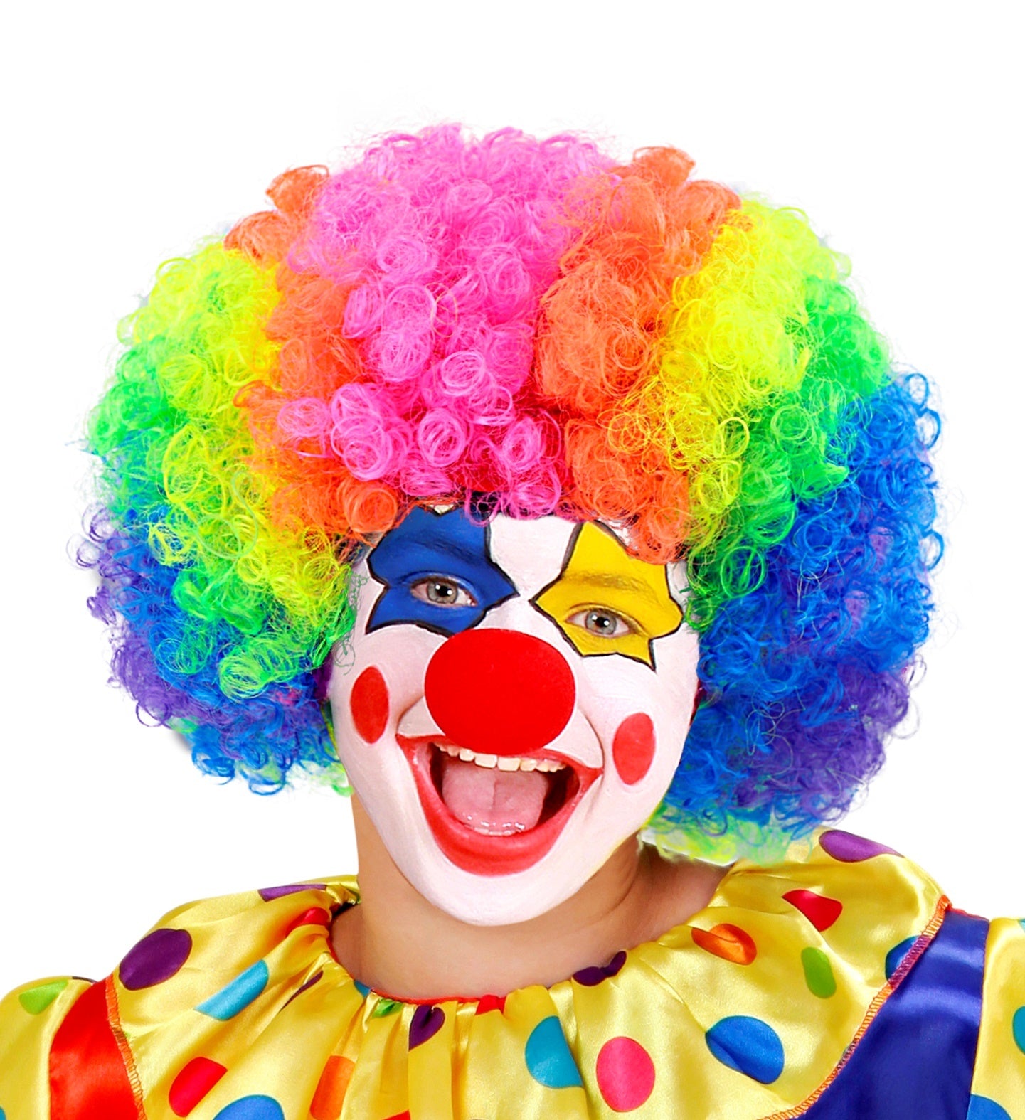 Pruik Clown Multikleuren