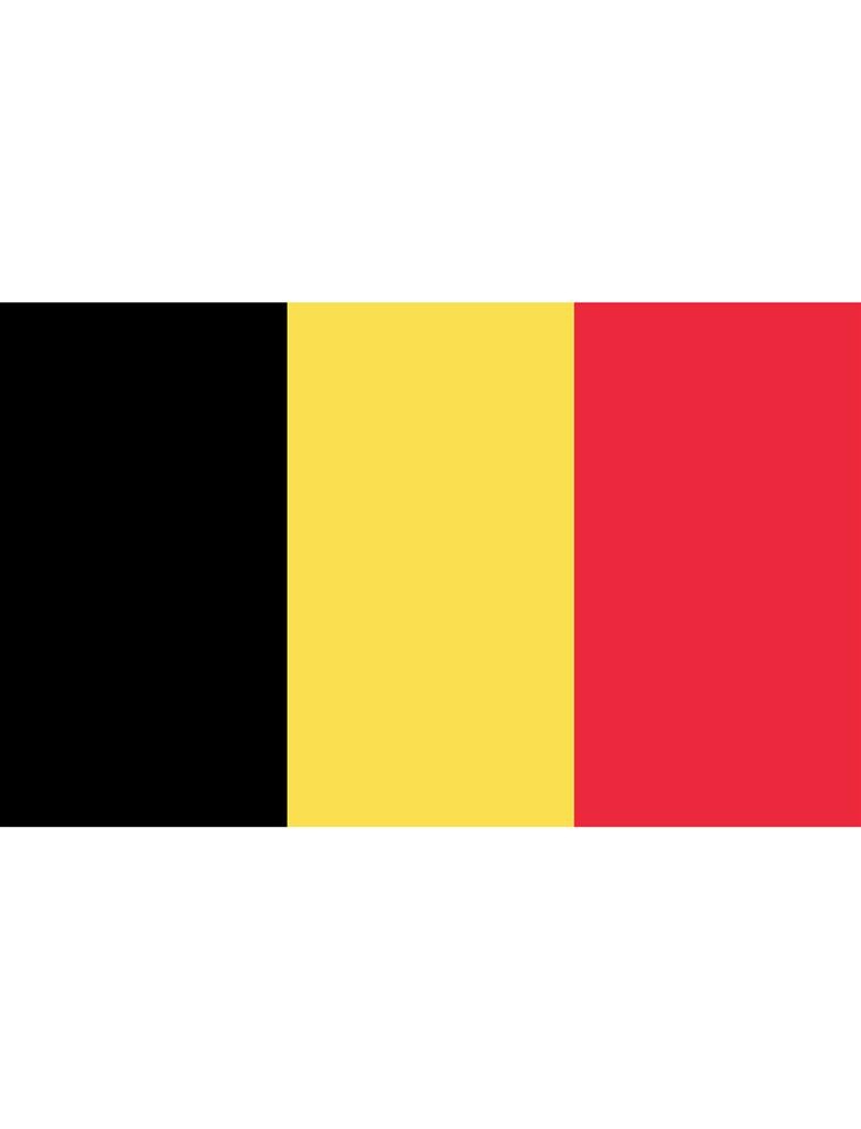 België Vlag Groot (150x300cm)