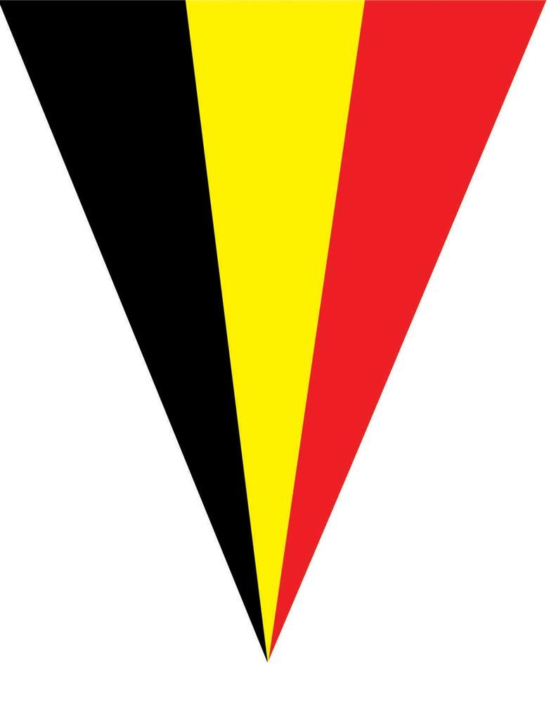 Belgium Driehoeksvlaggen Driekleur