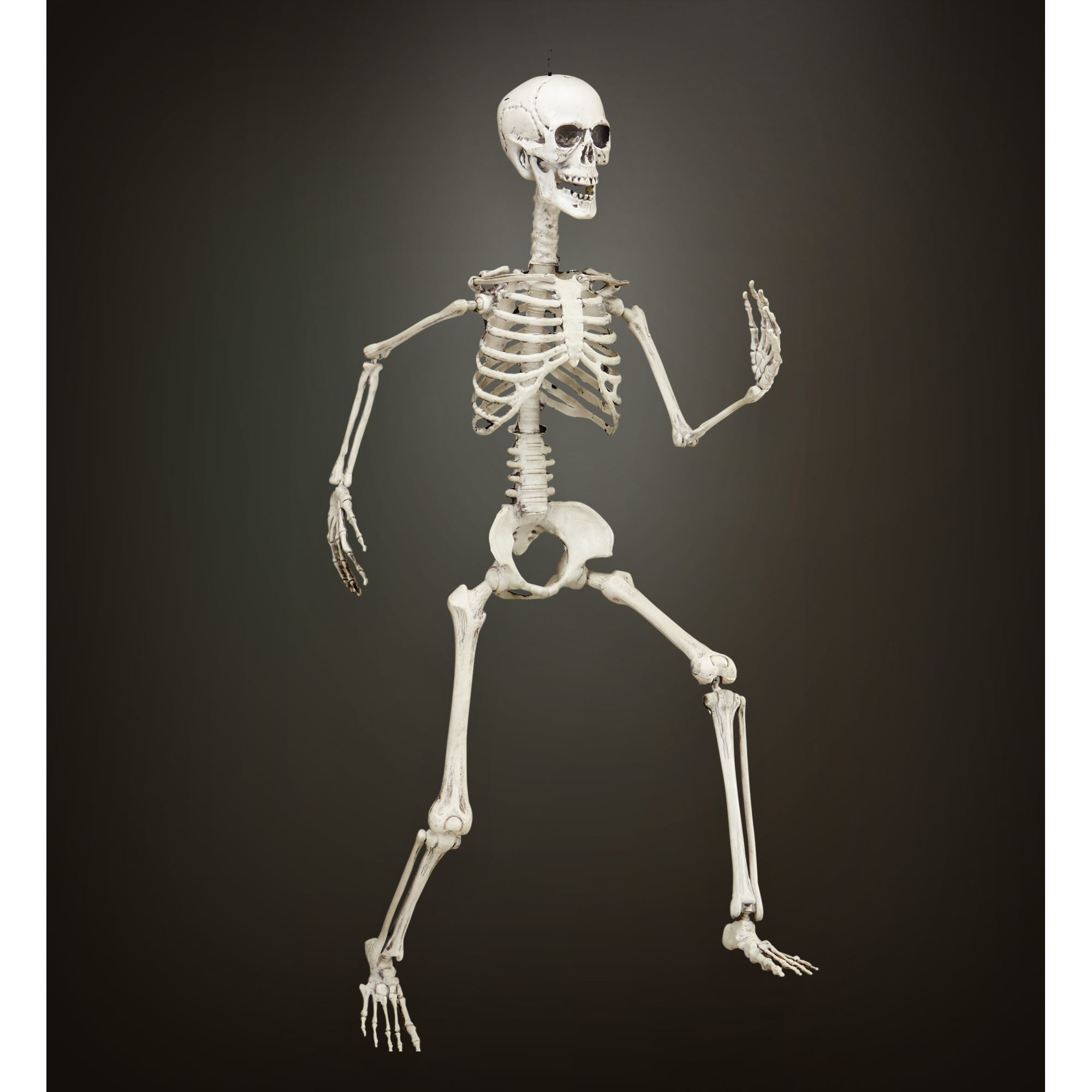 "Skeletten decoratie voor Halloween  - Feestdecoratievoorwerp - One size"