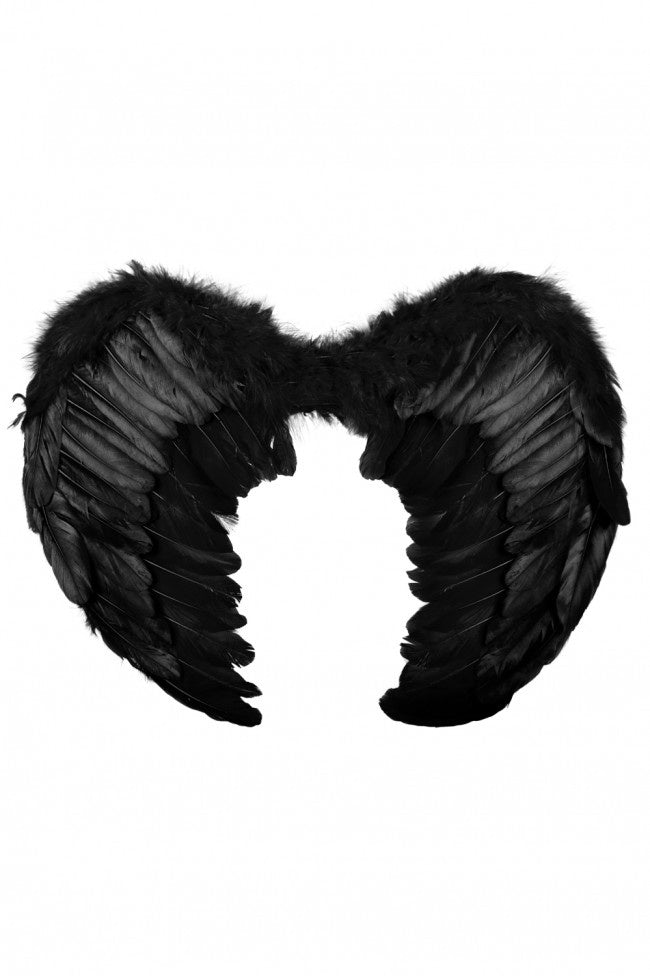 Engelen vleugels 55cm x 40cm veren zwart