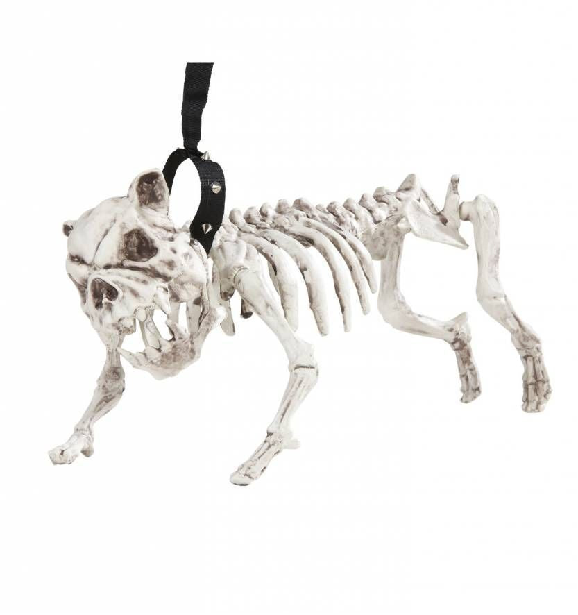 "Honden skelet aan riem decoratie Halloween  - Feestdecoratievoorwerp - One size"