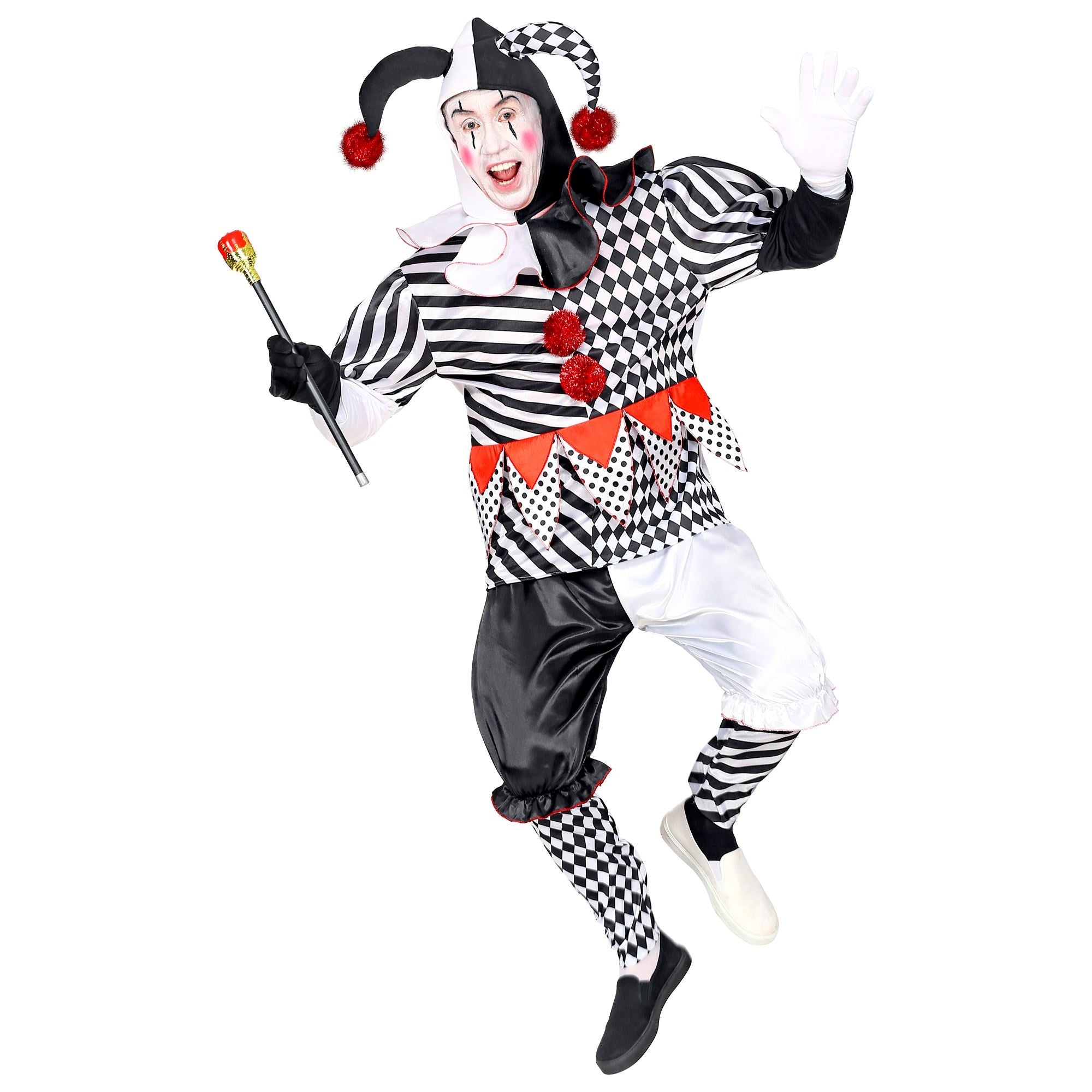 Widmann - Clown & Nar Kostuum - Paljas Van Het Hof Harlekijn - Man - - Medium - Carnavalskleding - Verkleedkleding