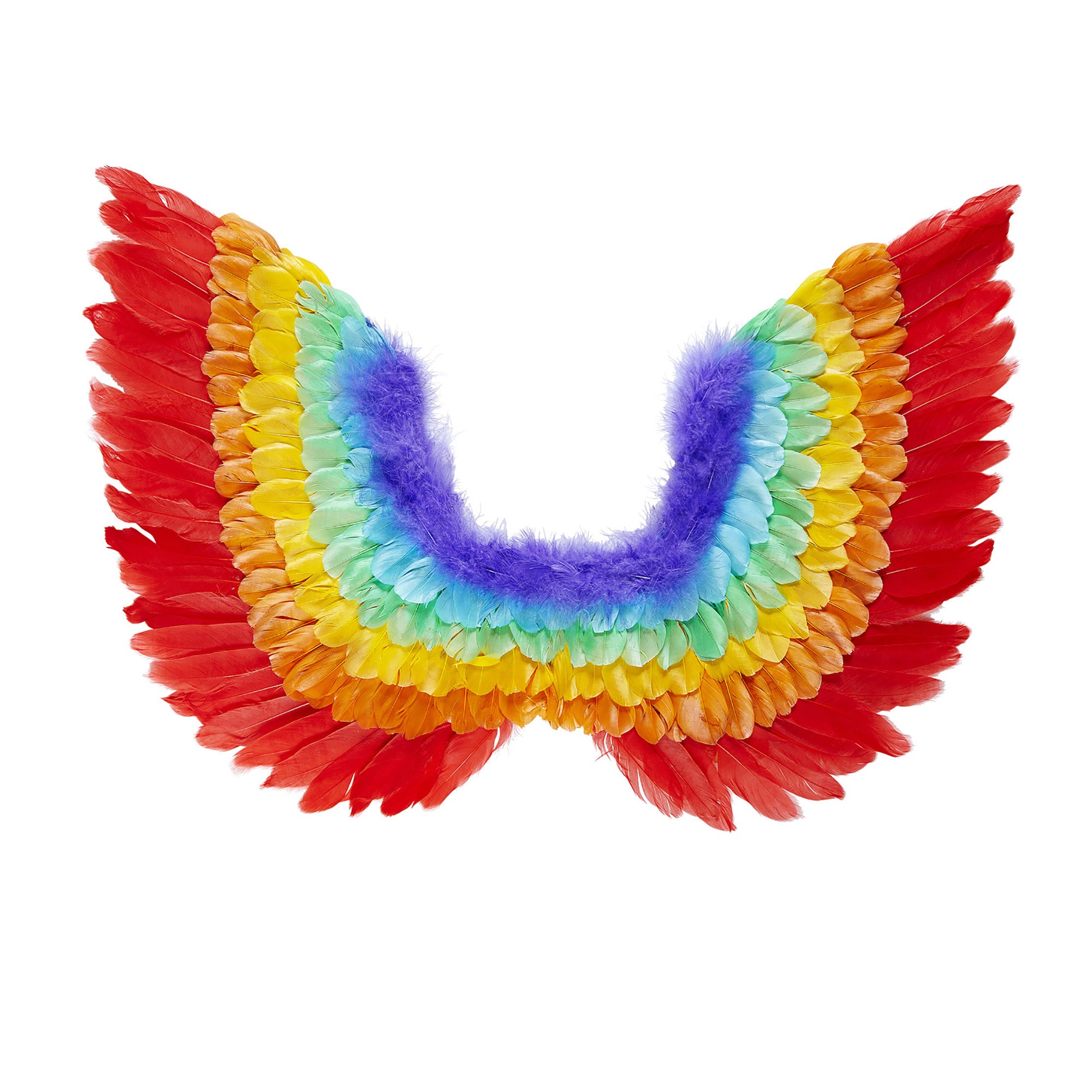 Widmann -Drag Queen Veren Vleugels, Regenboog - multicolor - Carnavalskleding - Verkleedkleding