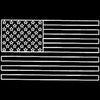 US American Flag logo
