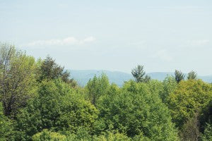 The view at Stonehurst