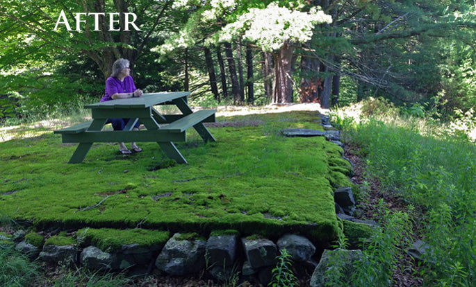 Chris Howe at the Stonehurst Warming Hut | Now a Fine Furniture Gallery