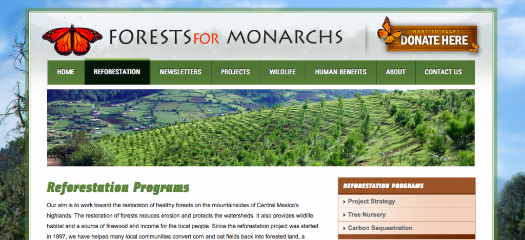 Reforestation of Monarch Habitat by LCHPP