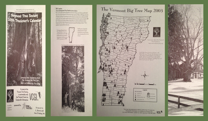 Vermont Tree Society | Conserving Champion Trees in the Green Mountain State