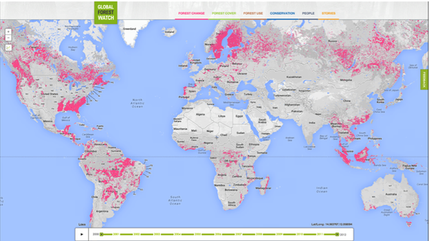 Deforestation Tracker