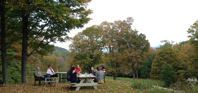 Stonehurst: A Sustainable Furniture Store with a Green Mission