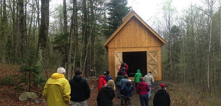Maple is Vermont's Most Important Hardwood Tree