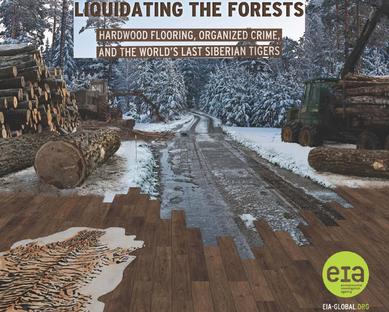Hardwood Flooring, Lumber Liquidators and the Forest