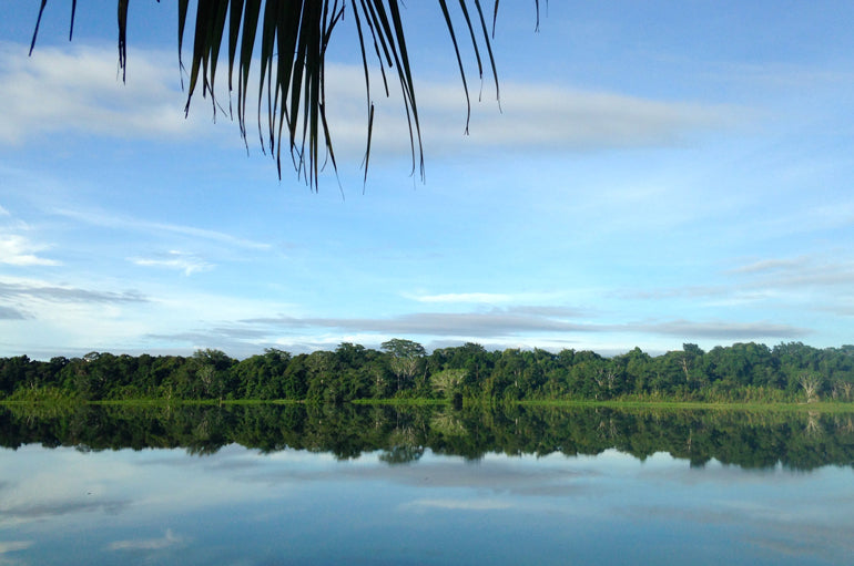 The Serere Reserve | Madidi | Bolivian Amazon Rainfdorest