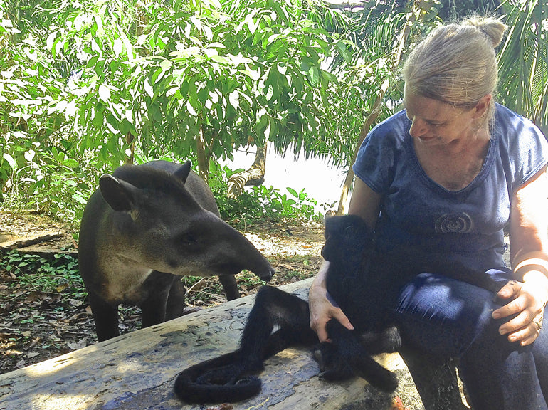Ecotourism | Hanging with Monkeys & Tapirs in the Amazon Rainforest