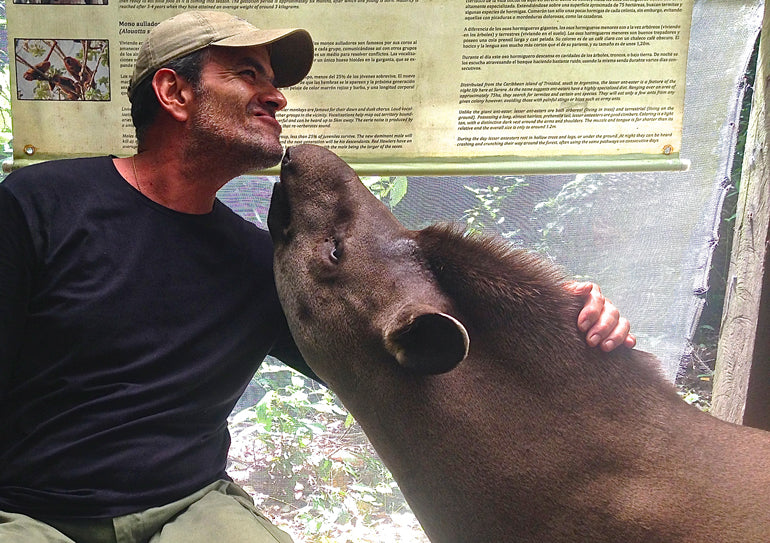 Diego and M Tapir | Rescue Sanctuary at Serere | Maidid Travel