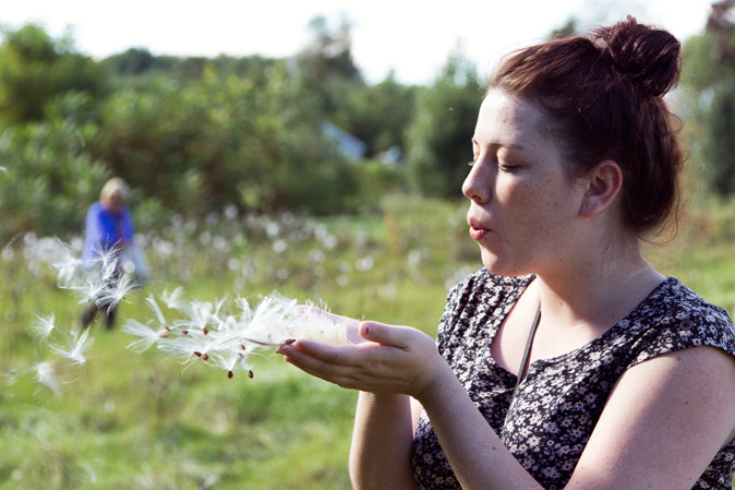 Gathering Milkweed For Monarch Butterflies | Vernon, VT