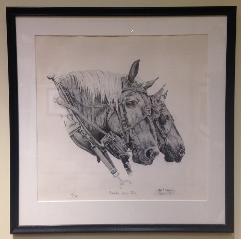 A pen and ink drawing of the O'Neil Family Farm's Percheron draft horses, Maude and Tony by Iowa artist William A Webber.