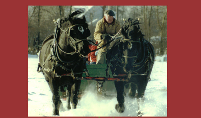 Dad's Percherons pulling a sleigh at Christmastime in 1993. Plattsburgh, NY.